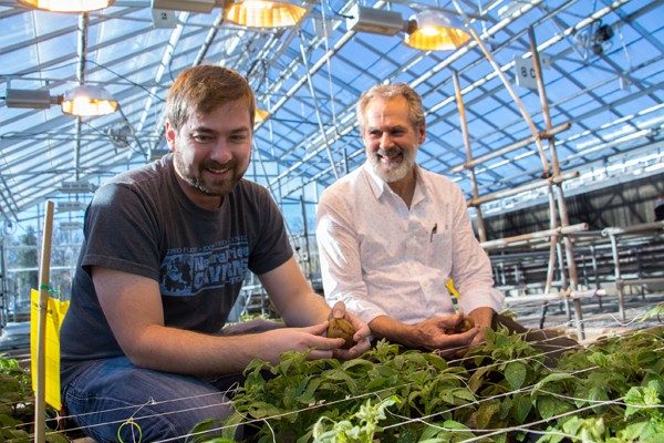 Photo of College of Agriculture and Life Sciences Outstanding Faculty Mentor Richard Veilleux with a student in a greenhouse